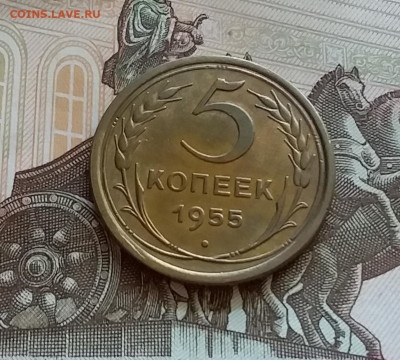 5 копеек 1955. До 27.7.22 в 22.00 - 20220723_150516