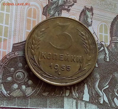 3 копейки 1955. До 27.7.22 в 22.00 - 20220723_165534
