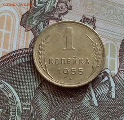1 копейка 1955. До 27.7.22 в 22.00 - 20220724_171544