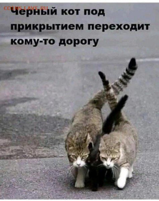 юмор - 220721