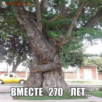 юмор - i