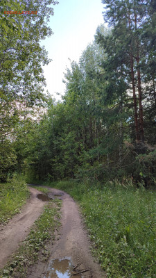 Любители "тихой охоты" есть? Все сюда :) - IMG_20220720_132516