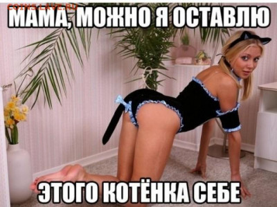 юмор - 17002707