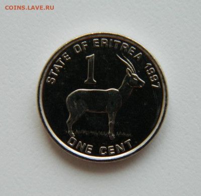 Эритрея 1 цент 1997 г.(Фауна) до 03.08.22 - DSCN1867.JPG