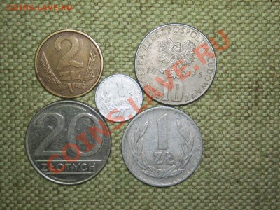 Польша до 29.11.11г.22-00(мск). - SPA51648.JPG