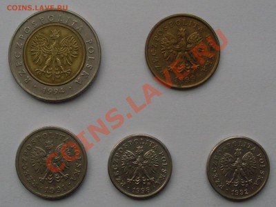 Польша набор до 27.11.11 в 22:00 - SL371107.JPG