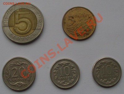 Польша набор до 27.11.11 в 22:00 - SL371103.JPG