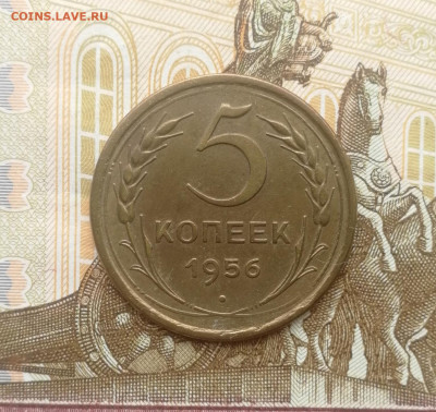 5 копеек 1956 года до 03.08.2022 - IMG_20220731_171620