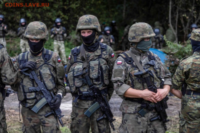 Изображение автомата Калашникова на бонах, монетах, жетонах - Польские пограничники
