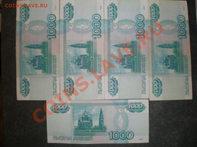  - PB250096.JPG