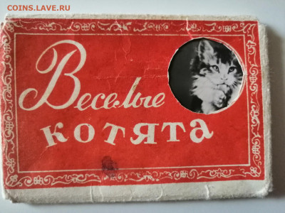 Фотосувенир "Весёлые котята". СССР, 1956г   до 5.08.2022 - IMG_20220802_155426