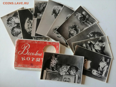 Фотосувенир "Весёлые котята". СССР, 1956г   до 5.08.2022 - IMG_20220802_155222
