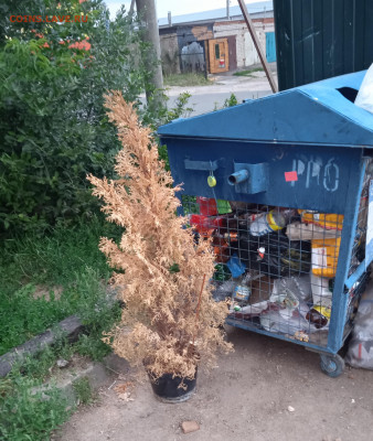 юмор - IMG_20220803_204250