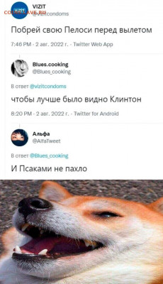 юмор - UiHpVB-4Fbs