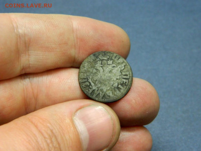 Полушка 1704. - polushka_1704_povelitel_khoroshaja2