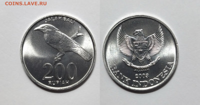 Индонезия 200 рупий 2003 г без оборота дрозд - 7.08 - IMG_20220805_115041