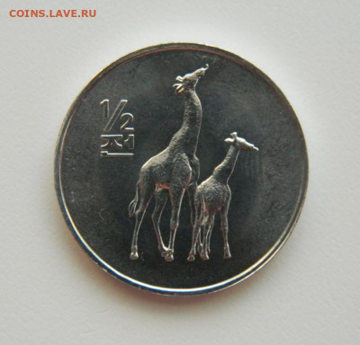 2 чон 2002 г.(Юбилейная) Жирафы до 11.08.22 - DSCN2039.JPG