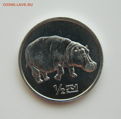 2 чон 2002 г.(Юбилейная)Бегемот до 11.08.22 - DSCN2055.JPG