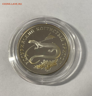 1 Рубль 2006г. Красная книга. Уссурийский когтистый ритон - IMG_5743
