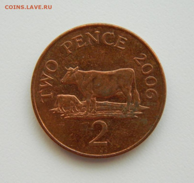 Гернси 2 пенса 2006 г. (Фауна) до 11.08.22 - DSCN2041.JPG