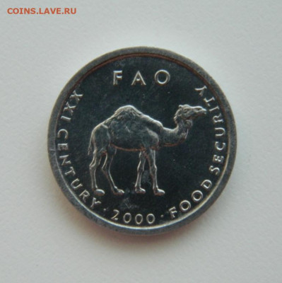 Сомали 10 шиллингов 2000 г.(Юбилейная) Фауна до 11.08.22 - DSCN2073.JPG