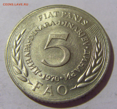 5 динар 1970 ФАО Югославия №1 13.08.2022 22:00 МСК - CIMG6995.JPG