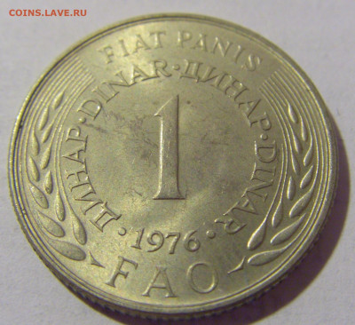 1 динар 1976 ФАО Югославия №1 13.08.2022 22:00 МСК - CIMG7055.JPG