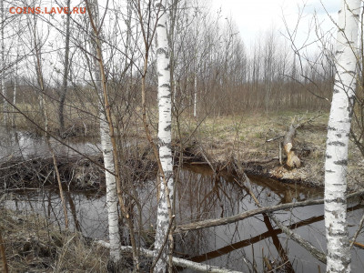Любители "тихой охоты" есть? Все сюда :) - 20220501_163800
