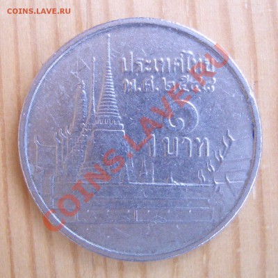 Не могу идентифицировать - CIMG0846