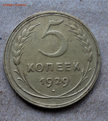 5 копеек 1929г. до 12.08. - DSC04880.JPG