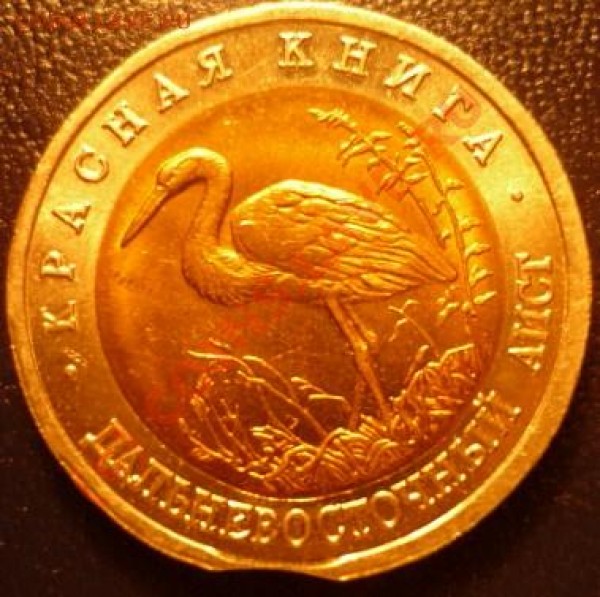 браки, кк-93-аист, 50р92ммд!!, низами - P1020172.JPG