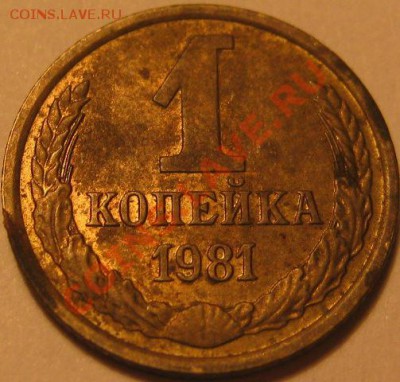 1к.1981г. Вторые колосья с короткими остями - IMG_0009