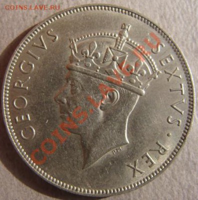 - Брит. Вост. Африка - шиллинг 1952 -  до 30.11.2011 - Coin1170(3)