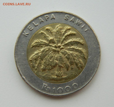 Индонезия 1000 рупий 1996 г. (БИМ) до 18.08.22 - DSCN2236.JPG