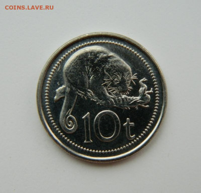 Папуа-Новая Гвинея 10 тойя 2006 г. (Фауна). до 18.08.22 - DSCN2200.JPG