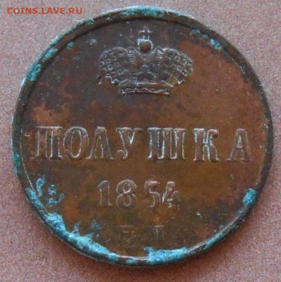 полушка 1854 ЕМ до 18.08.2022 - монеты 450