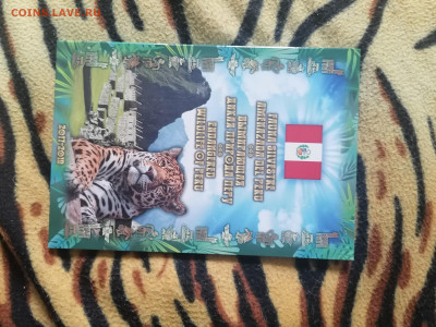 Набор монет красная книга Перу в альбоме - IMG_20220414_065135