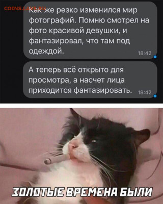 юмор - 17080088