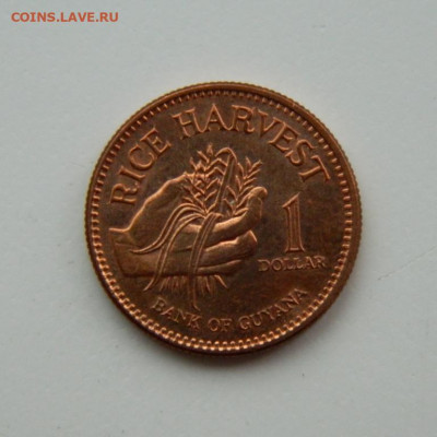 Гайана 1 доллар 2002 г. до 25.08.22 - DSCN2334.JPG