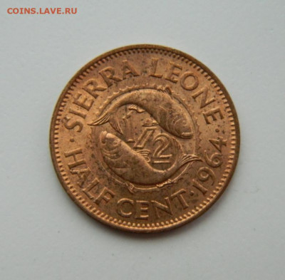 2 цента 1964 г.(Рыбы)  до 25.08.22 - DSCN2340.JPG
