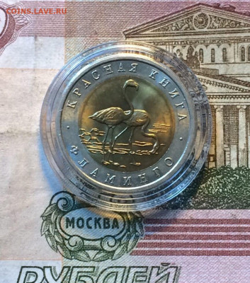 Красная книга.10 р. 1994г.Фламинго.до 25.08.22 - 121