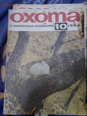 Журналы Охота - IMG_20220822_200959