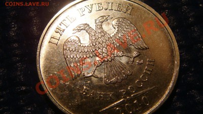 2010 5 рублей ММД НОВЫЙ или вторая штемпельная пара!?!?!? - DSC03124.JPG