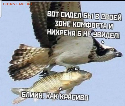 юмор - Screenshot_20220824-072438_Instagram