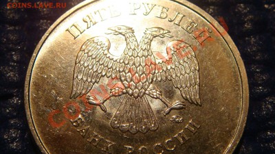 2010 5 рублей ММД НОВЫЙ или вторая штемпельная пара!?!?!? - DSC03125.JPG