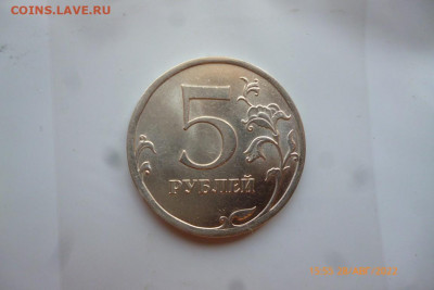 5 руб 2010г спб - P1090774 (Medium).JPG