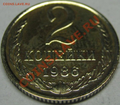 2к 1986г зерна колосьев ромбовидной формы (Б) - IMG_0081