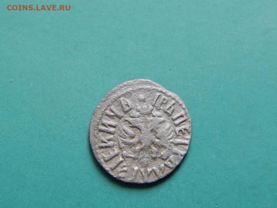 петровская полушка 1710 г. - DSCN1422.JPG