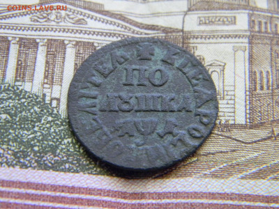 полушка 1704 ПОВЕЛИТЕЛЬ - Изображение 9347