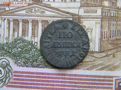 полушка 1704 ПОВЕЛИТЕЛЬ - Изображение 9346